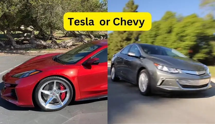 Which car would you buy